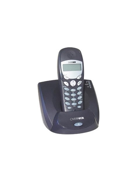 B061  DECT/GAP